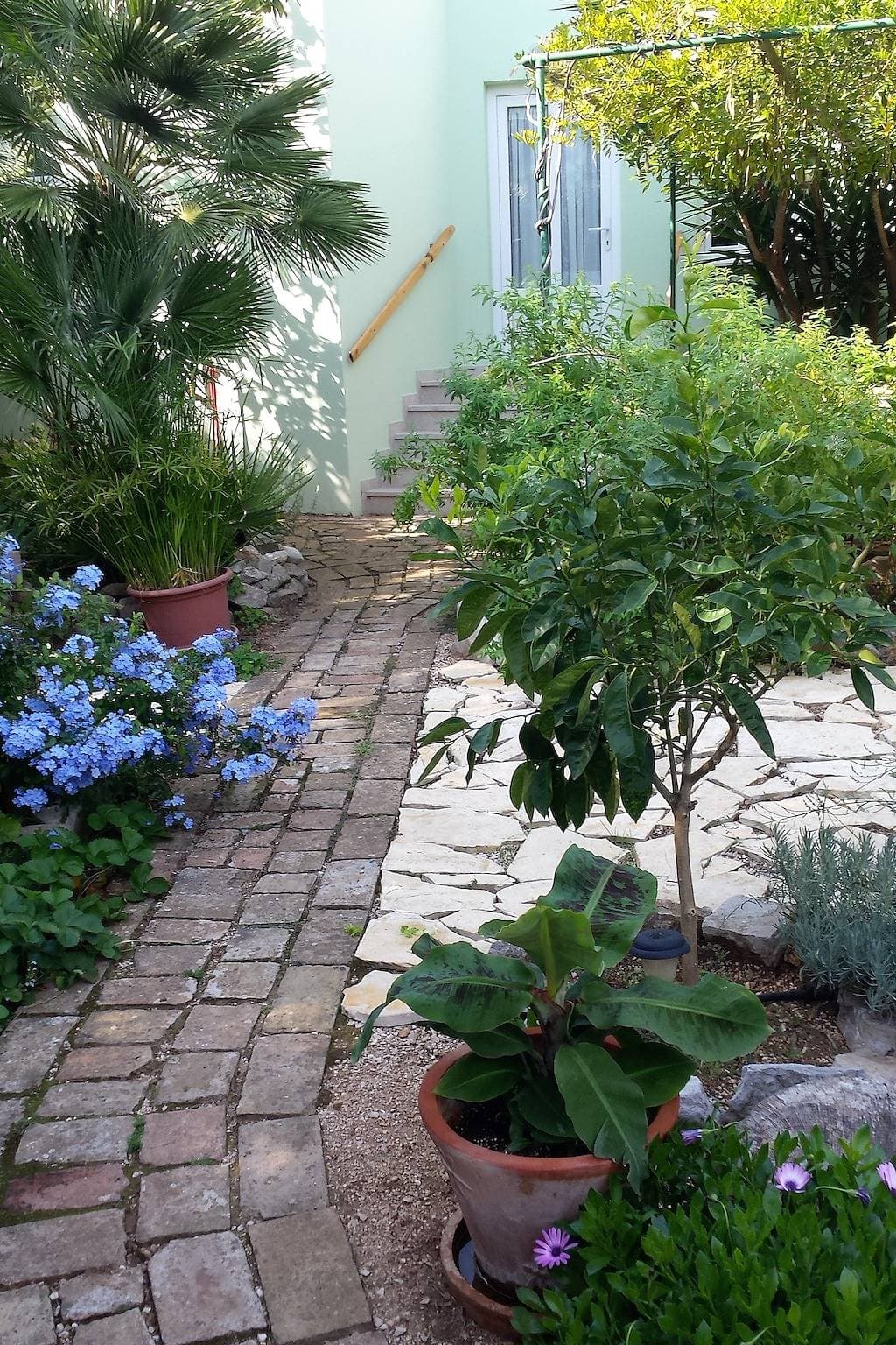 Foto 4 von 21: 1-Zimmer-Ferienwohnung mit Klima Nerezine, Losinj -a