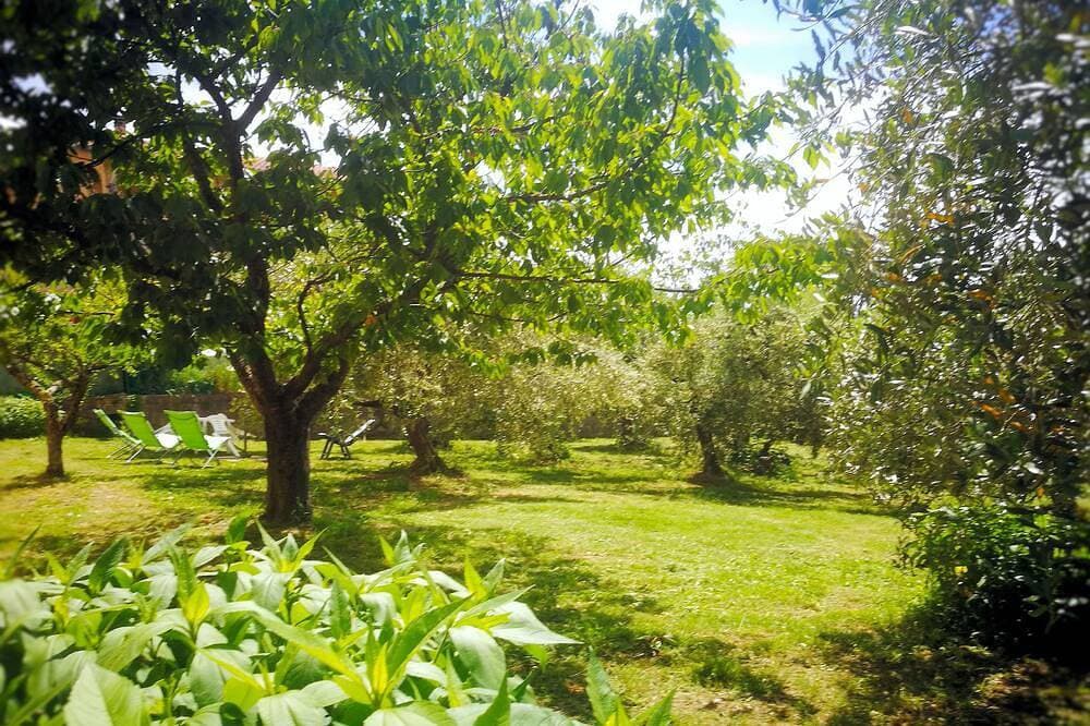 Foto 8 von 22: Haus mit Garten 25 Minuten vom Meer
