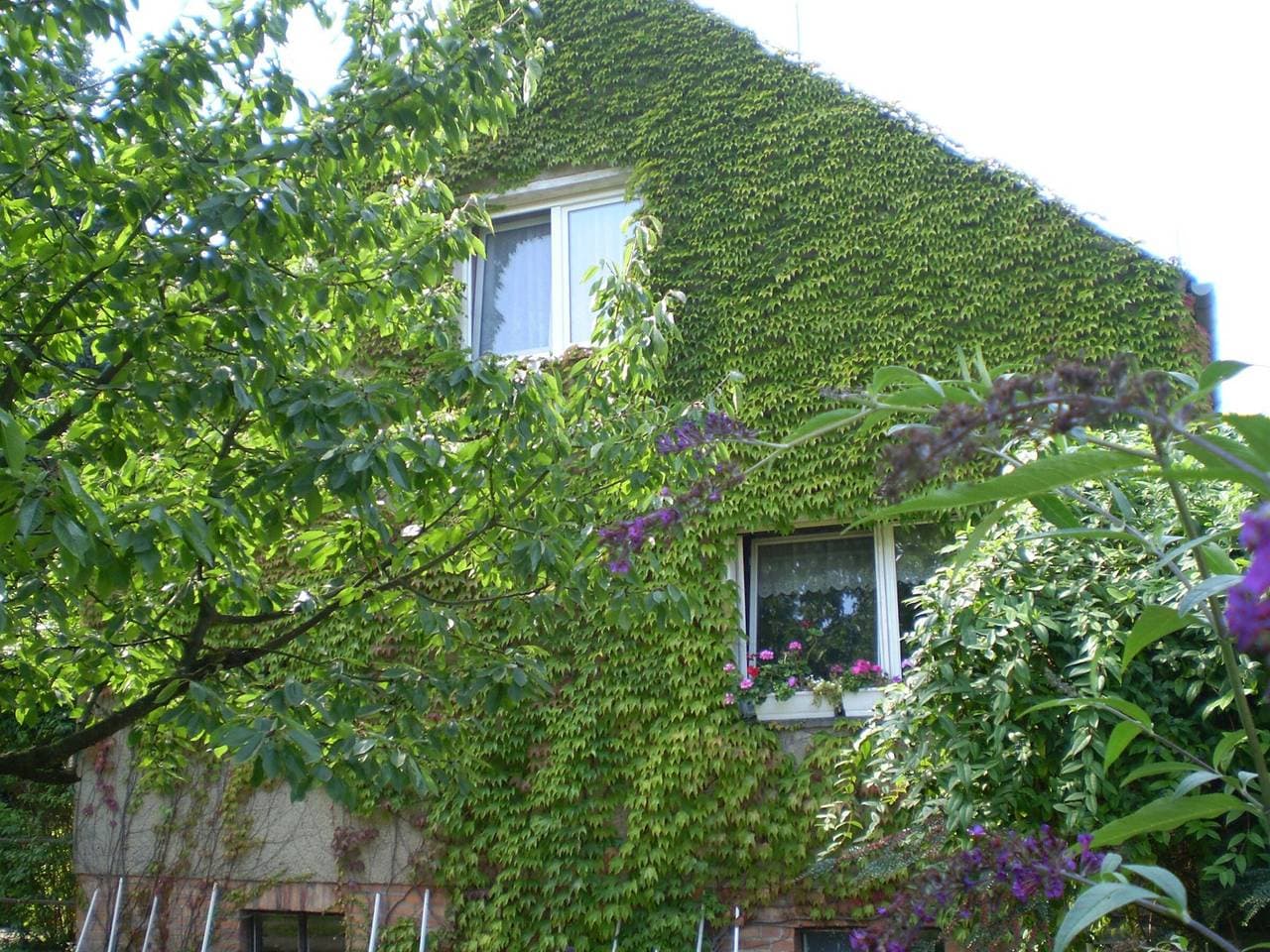 Foto 2 von 32: Ferienwohnung 'Wolf' mit privater Terrasse, Gemeinschaftsgarten und WLAN