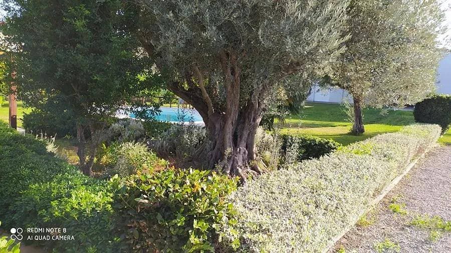 Foto 7 von 46: Villa für 14 Personen mit Balkon