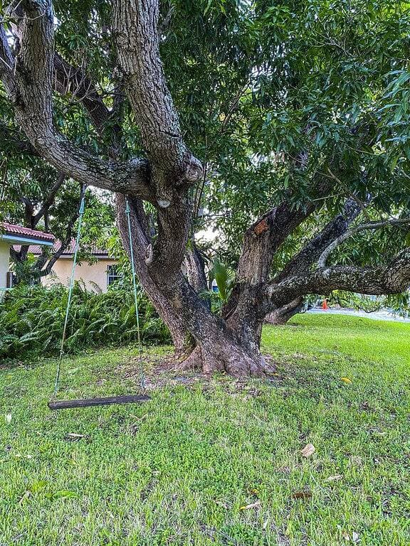 Foto 12 von 36: Spacious & refreshing, The Mango Cottage: Near the beach & all things S. Fl!