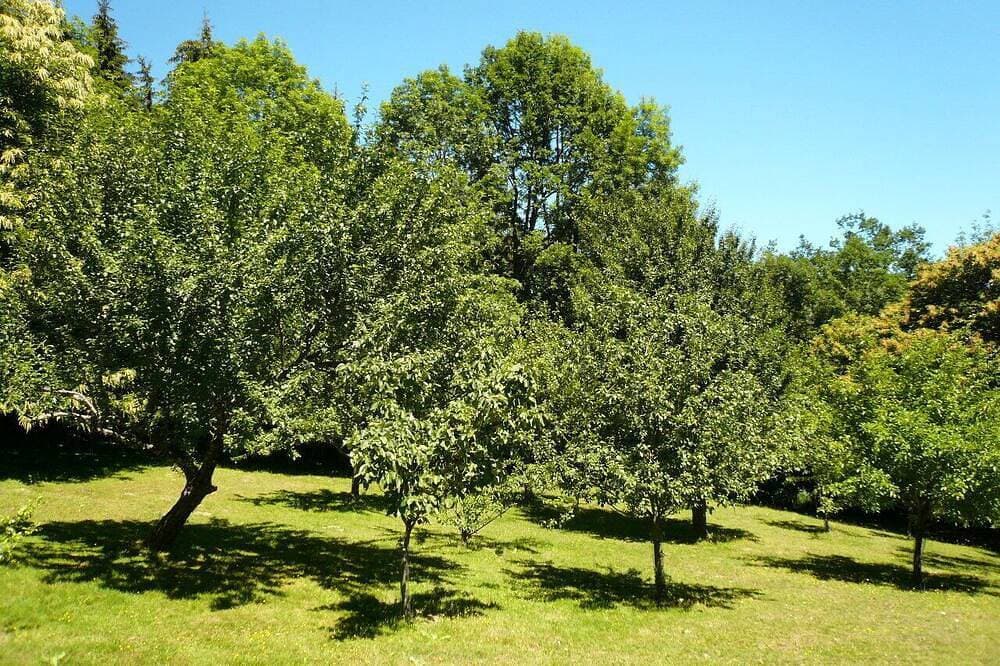Foto 7 von 16: Die Landkarawane, ein Paradies für Naturliebhaber