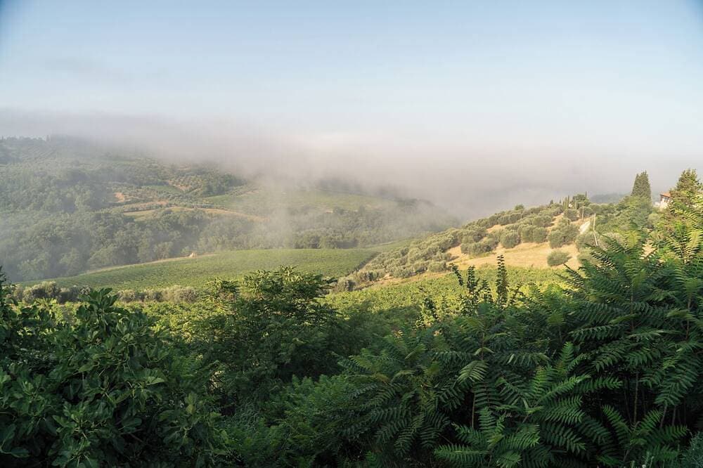 Foto 12 von 30: Villa Spoianello, with Infinity Pool in Chianti.