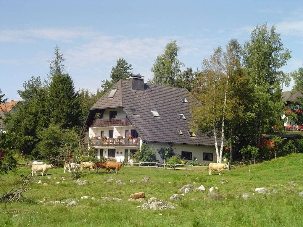 Foto 3 von 23: 1 im Haus Schnell