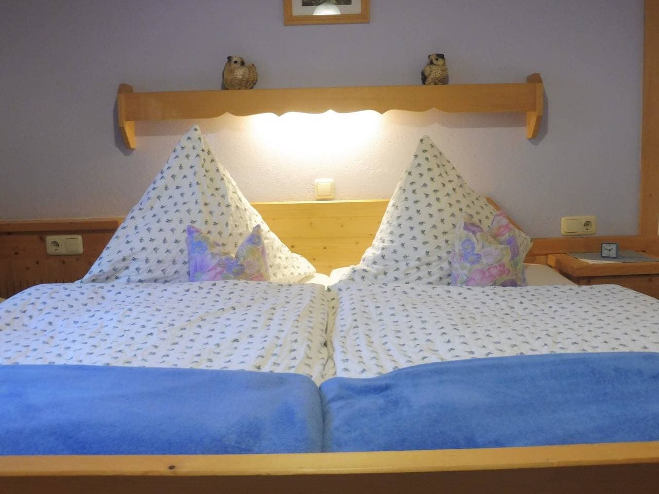 Foto 5 von 10: Enzian