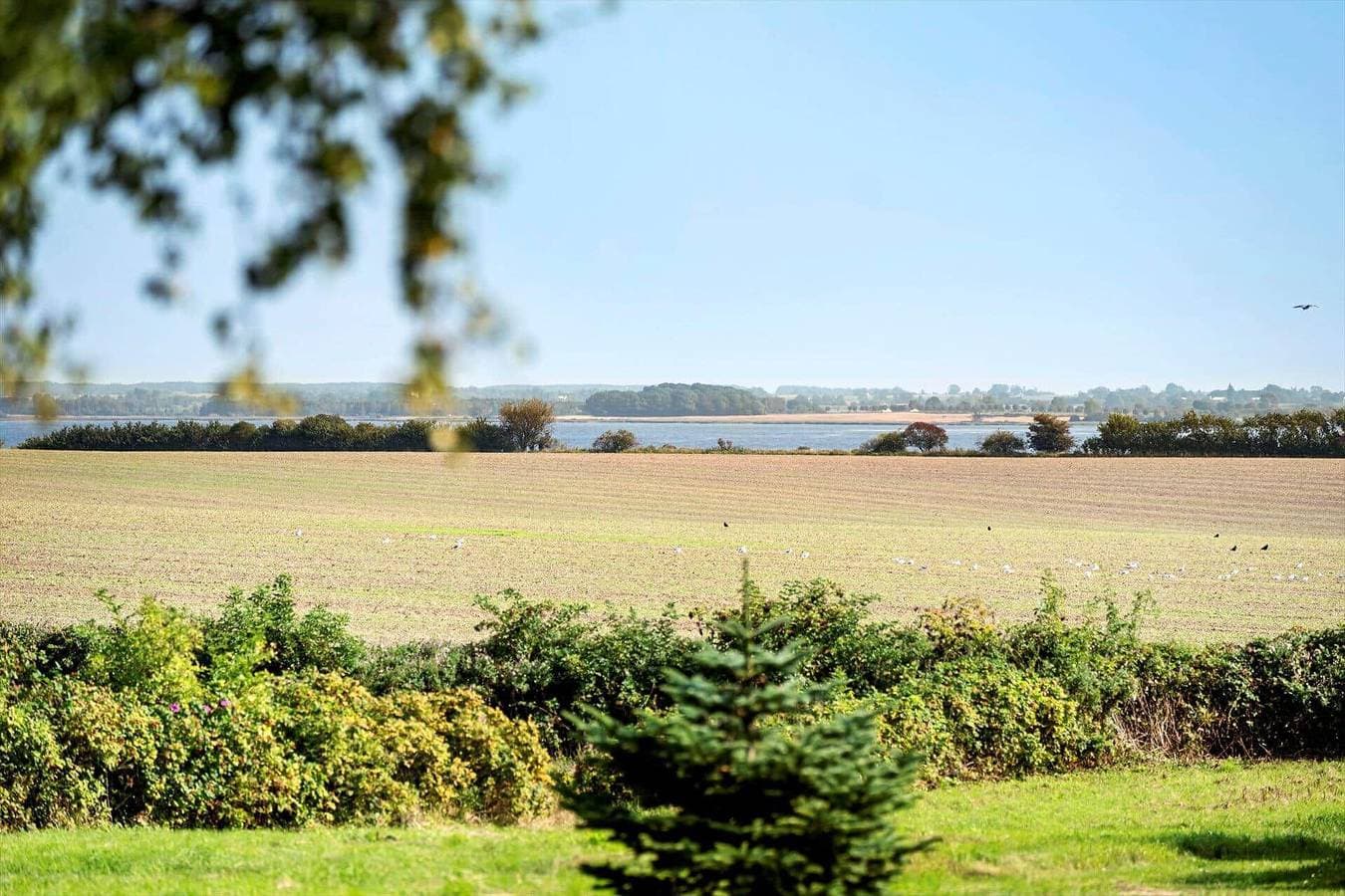 7349 Bogø By - Kværnen 49 1