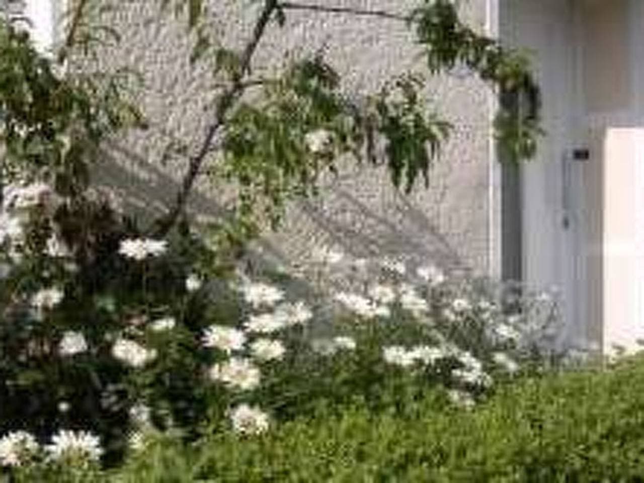 Foto 11 von 18: Auszeit Trittenheim