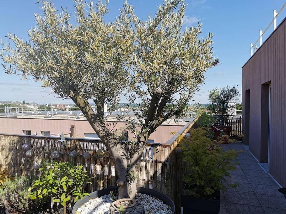 Appartement près de Versailles - magnifique vue 1