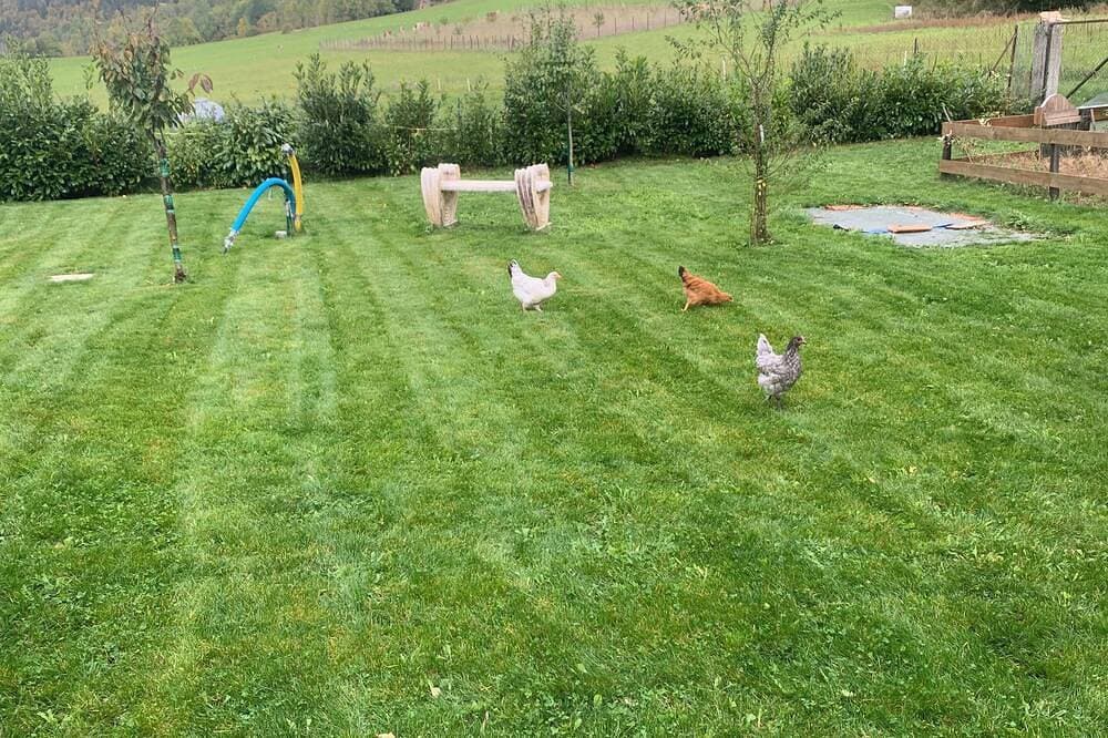 Foto 12 von 16: Appartement de Montagne Dans le Vercors Animaux de Compagnie Acceptés