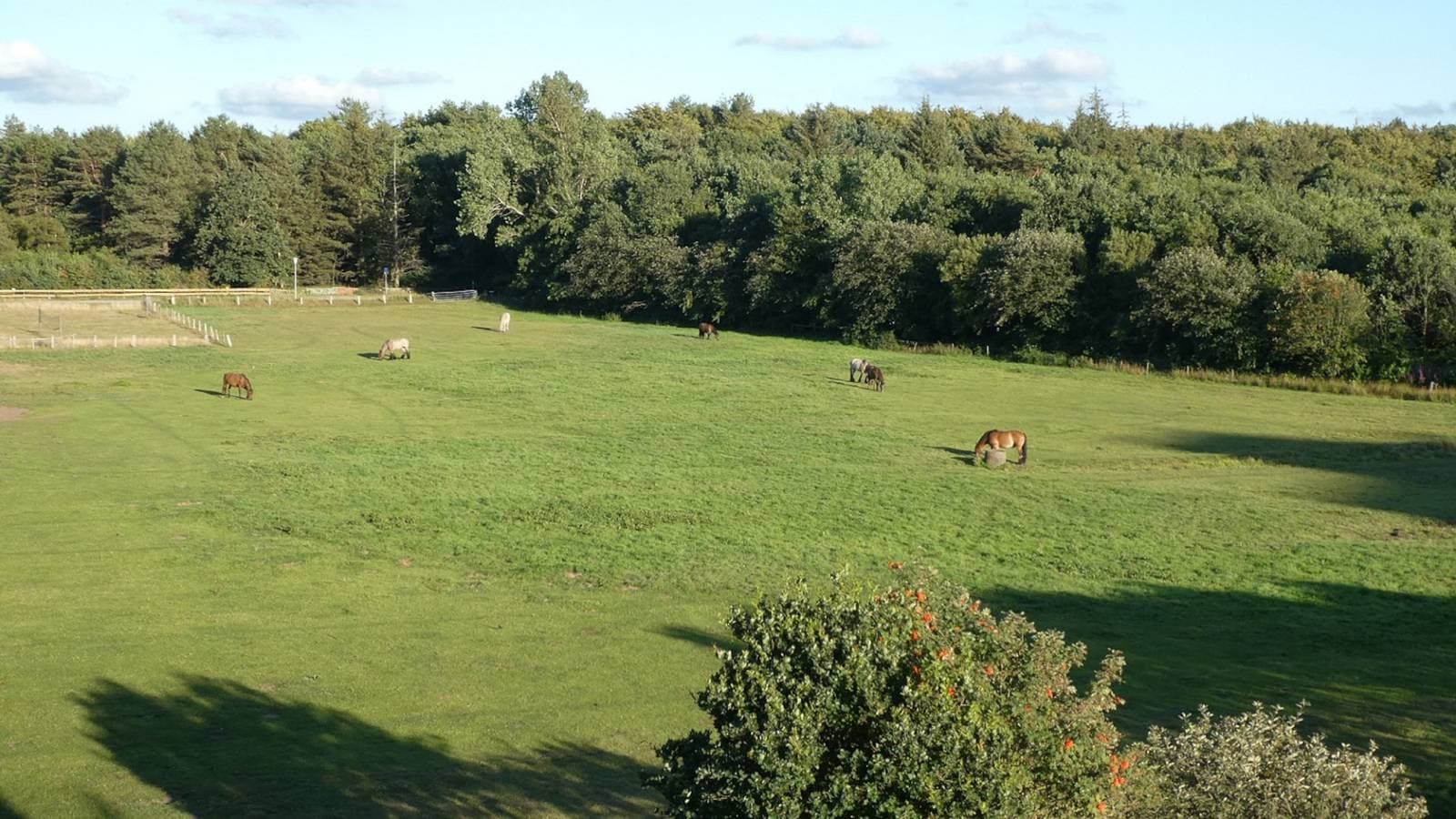 Foto 11 von 41: Quartier Hohe Geest 17 - Nord Seestern