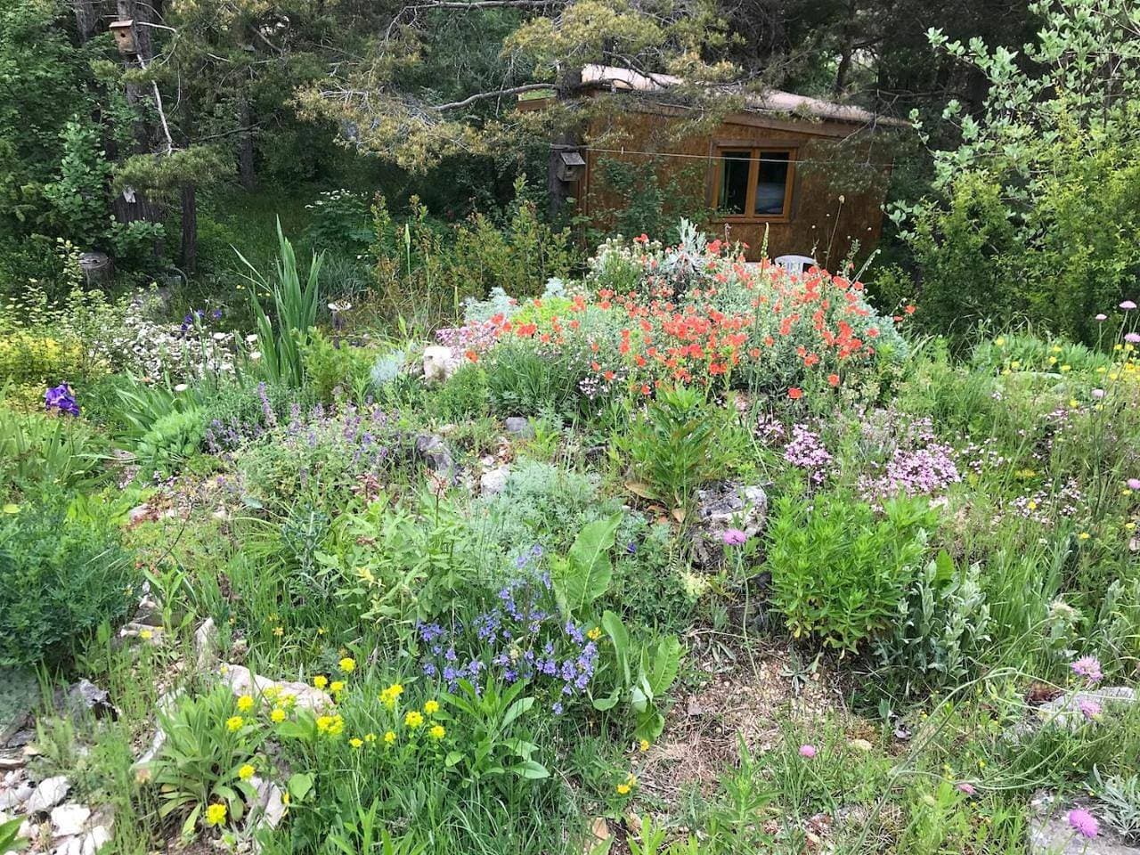 Foto 13 von 13: Bungalow