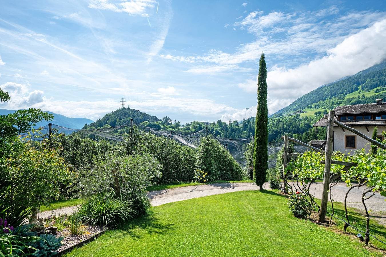 Foto 3 von 24: Ferienwohnung 'Stettnerhof Penegal' mit Bergblick, Terrasse, Gemeinschaftsgarten und WLAN