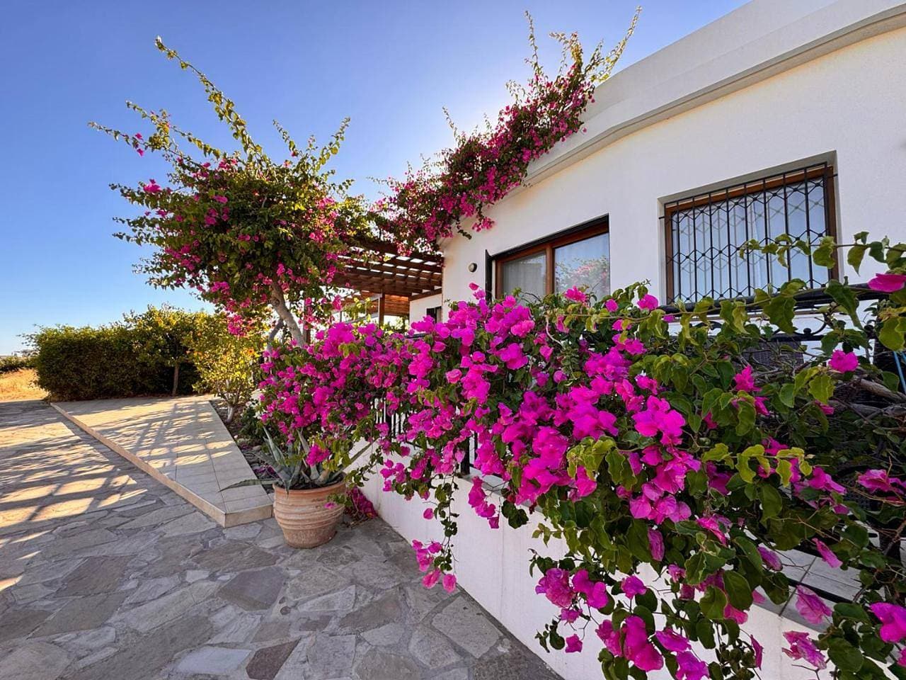 Foto 7 von 38: Villa with Sea View