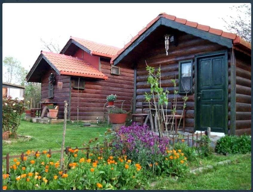 Foto 7 von 9: Standard Bungalow
