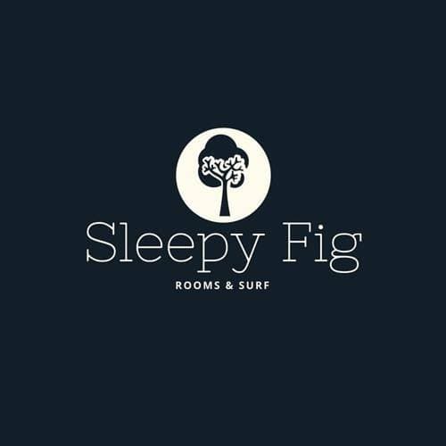 Sleepyfig 1
