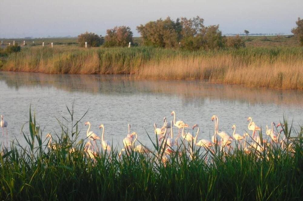 Foto 11 von 16: Zimmer mit Blick auf die Teiche
