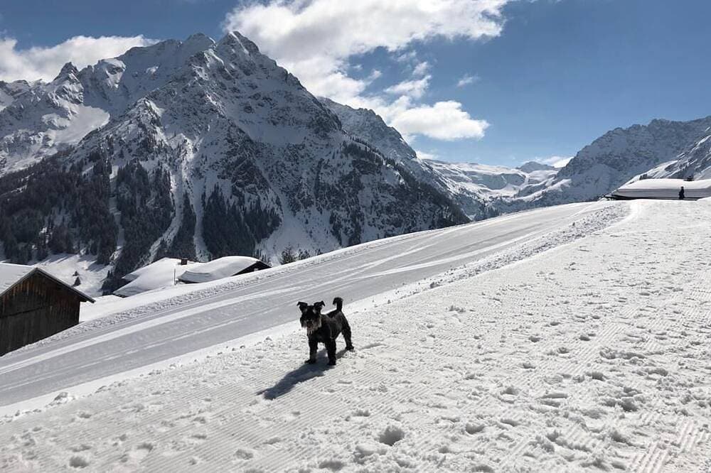 Foto 13 von 30: Bergpanorama, Sauna&Balkon, Bergbahn inkl., Hund erlaubt - Alpenjuwel Oberstdorf