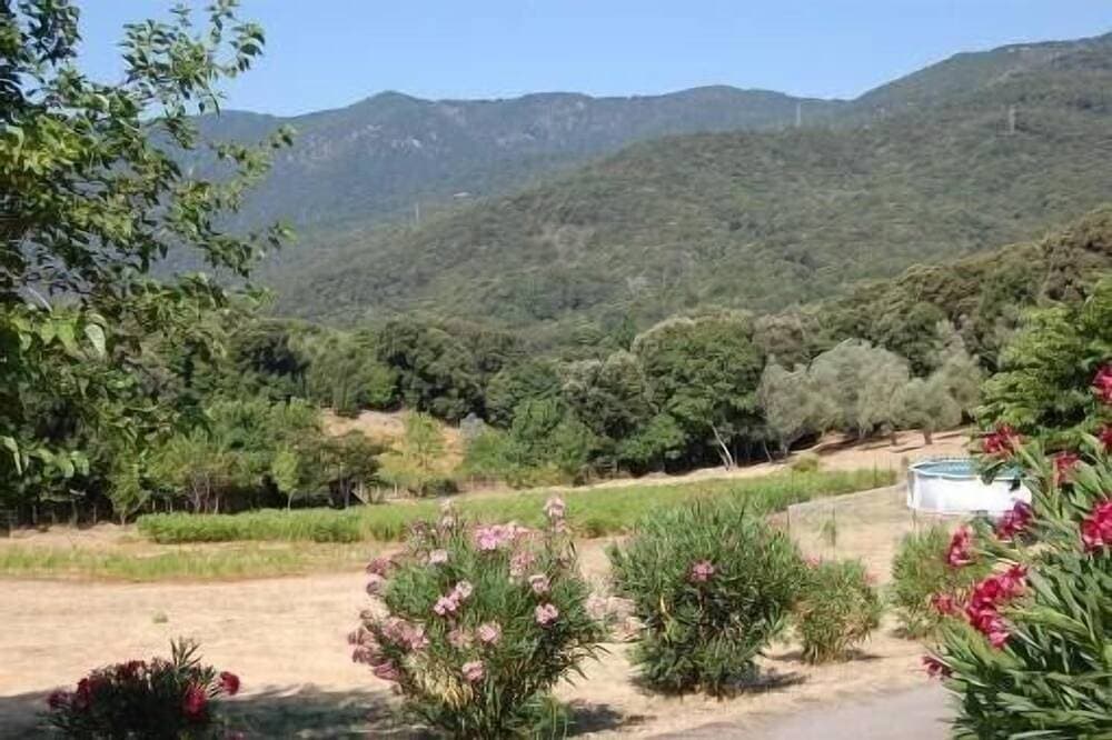 Foto 6 von 8: Gite Corsica Grosseto Porticcio - Ruhiger Pool