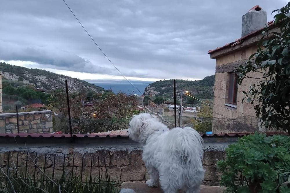 Foto 9 von 18: Merve Stone House Assos
