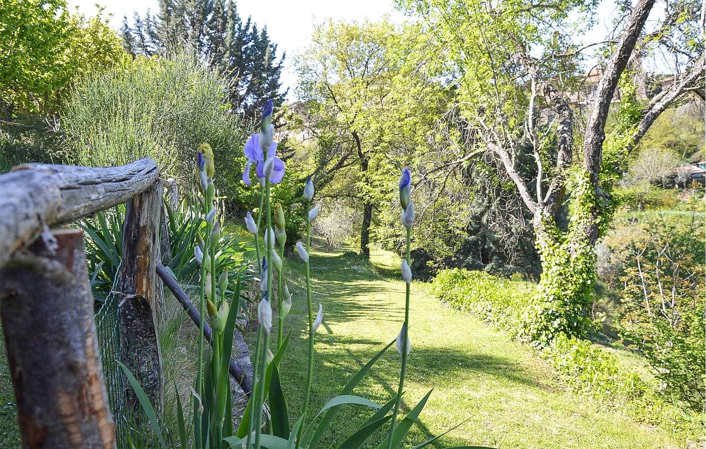 Foto 6 von 37: Gemütliche Wohnung mit Pool und Parkplatz, 1 km von Paciano entfernt