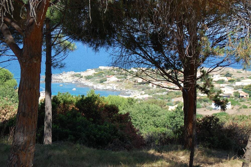 Foto 8 von 14: Penthouse Meer Korsika Algajola Balagne Ile Rousse