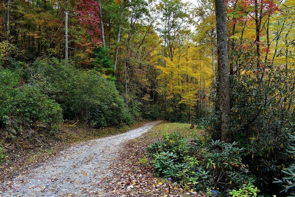 Kleines Haus der Hinterwälder auf lautem Nebenfluss mit Gebirgsrückenansicht in Robbinsville, Nc 1