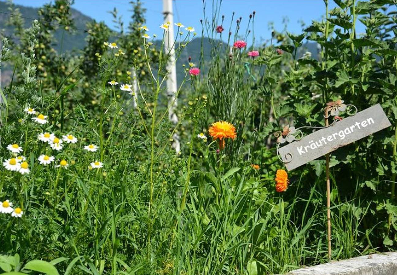 Foto 12 von 12: Ferienwohnung "Tschigat Leilichhof" mit Bergblick, WLAN, Balkon & Garten