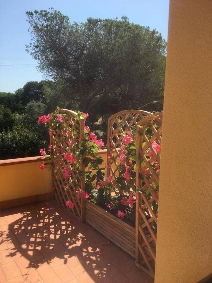 Foto 13 von 16: Standard Apartment with Terrace