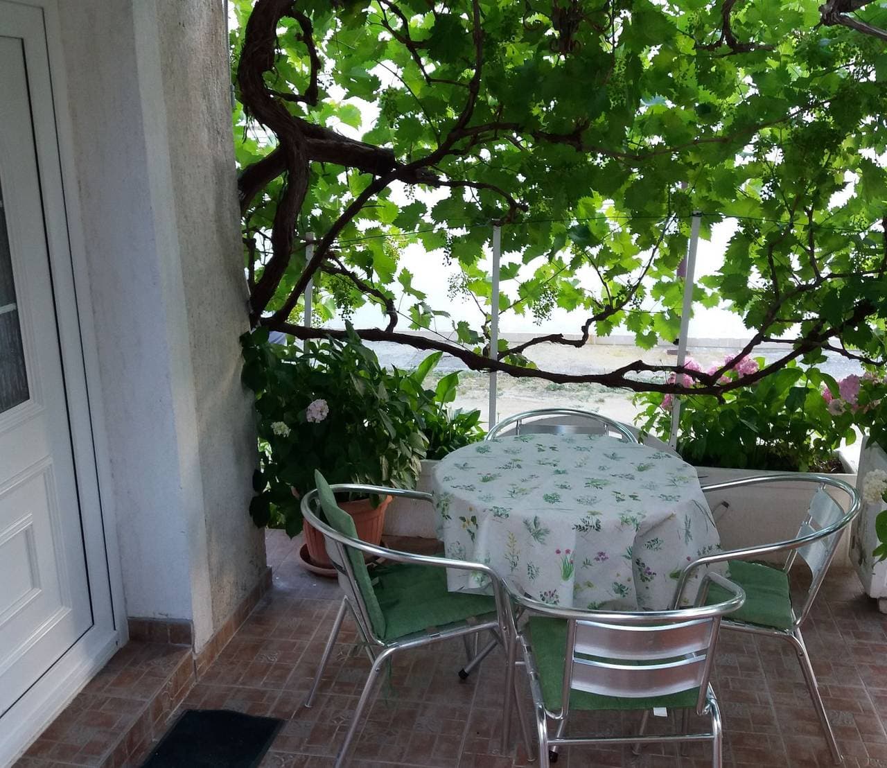 Ferienwohnung 45m² 1