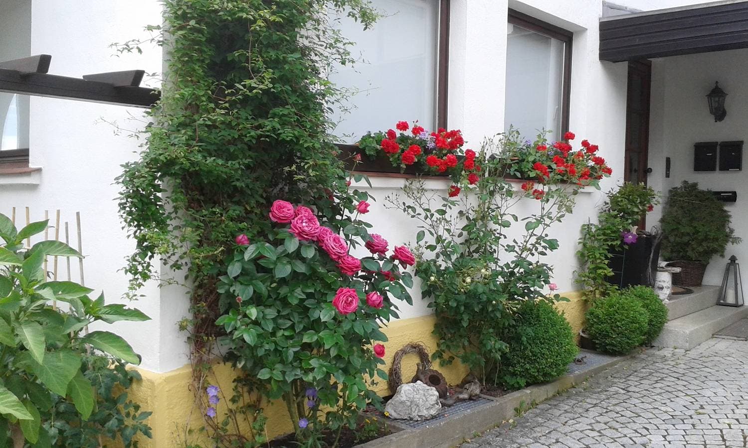 Foto 4 von 19: Ferienwohnung "Am Eisenbühl" - 3-Sterne-Ferienwohnung (90qm) mit Panoramablick