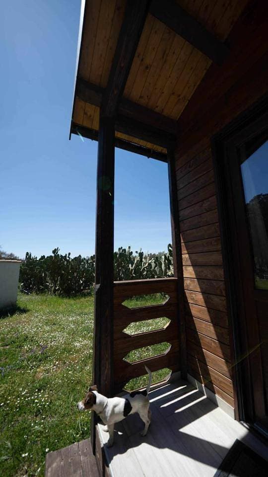 Foto 13 von 50: Studio with Garden View