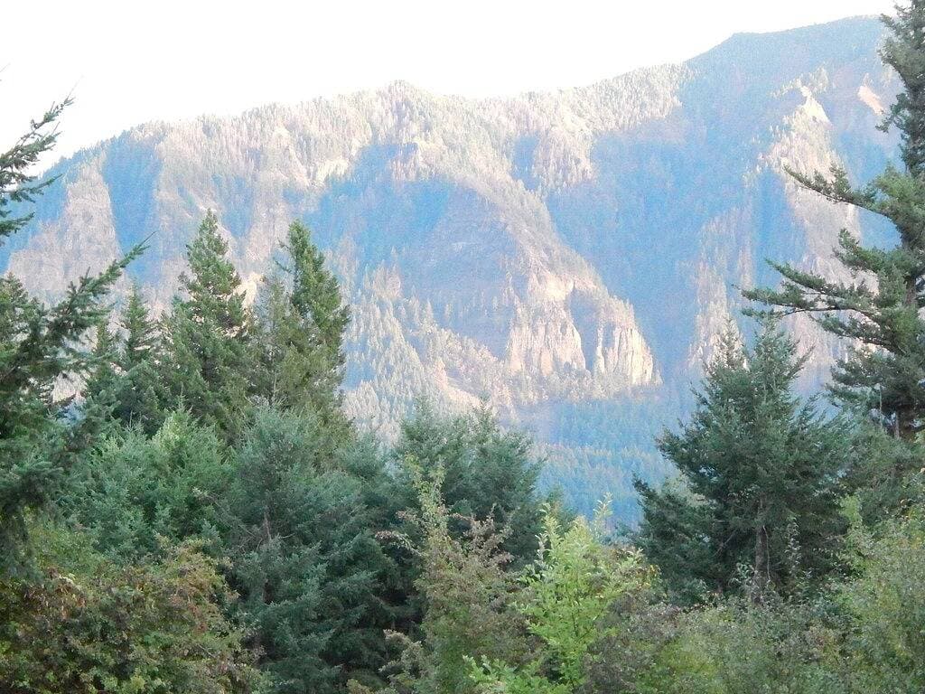 Foto 4 von 23: Shellrock Cabin mit Blick auf den Columbia River