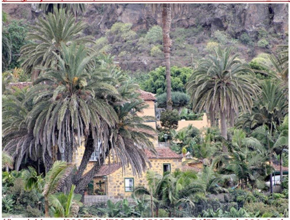 Finca Doña Juana 1