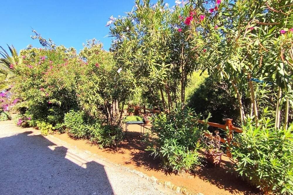Foto 6 von 17: Villa Pineta Mare - Pigna 2 - Villa Pineta Mare