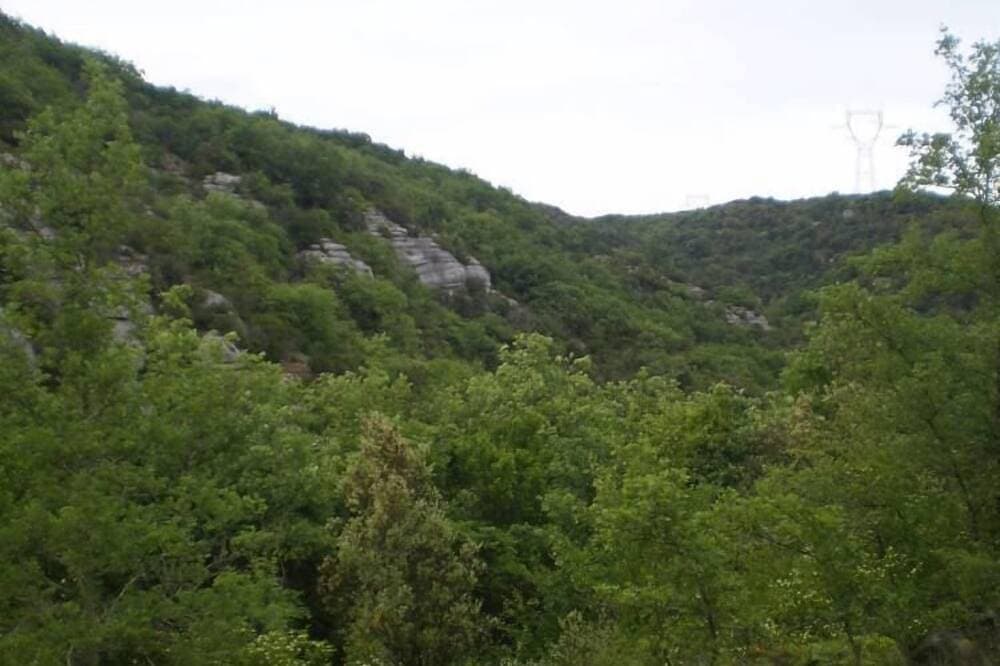 Foto 5 von 8: Häuschen im Herzen der Natur