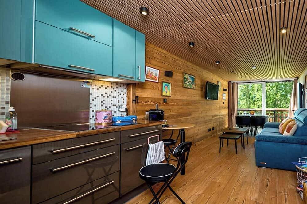 Beautifully renovated studio apartment, sleeps 4, mountain view 1