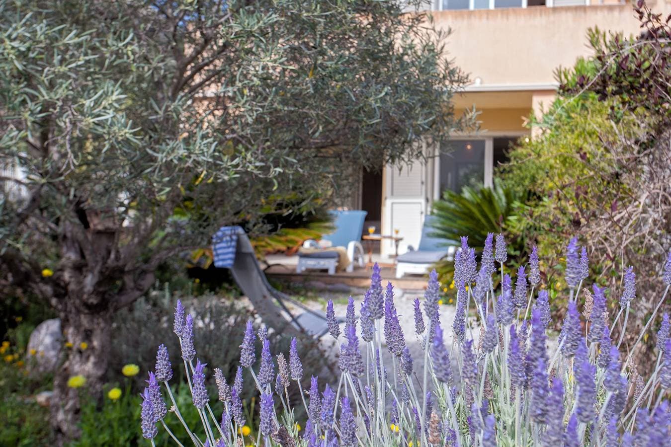 Foto 2 von 20: Ferienwohnung für 4 Personen mit Garten