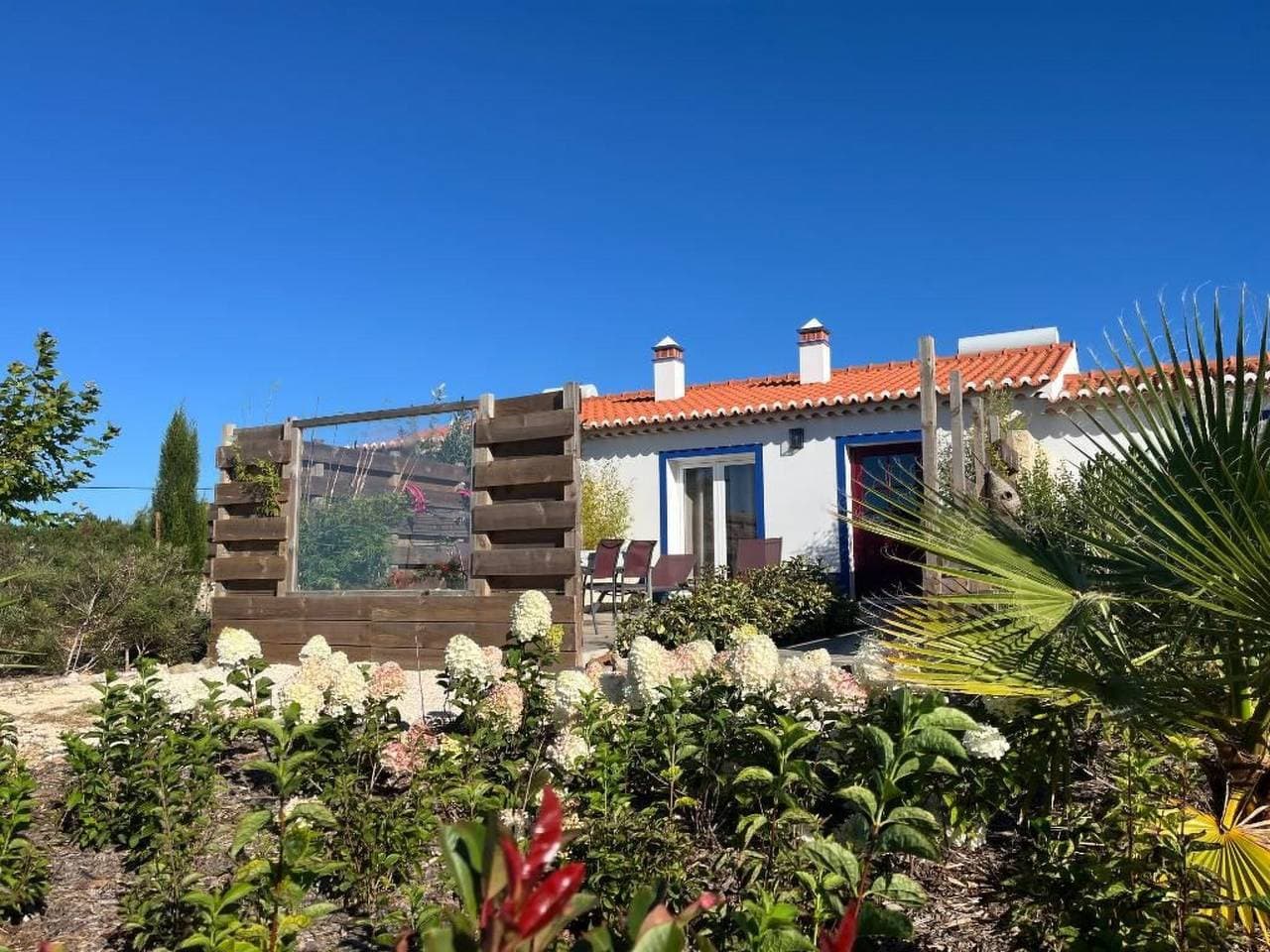 Haus Bamboo in Odeceixe mit ruhiger Terrasse 1