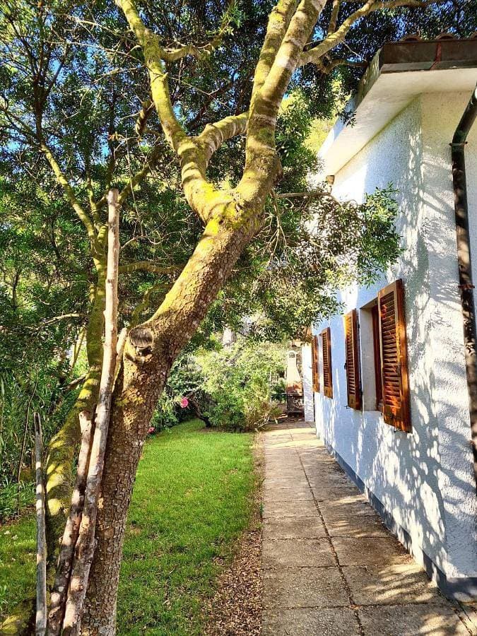 Comfortable House in Lacona with Garden and Parking Included 1