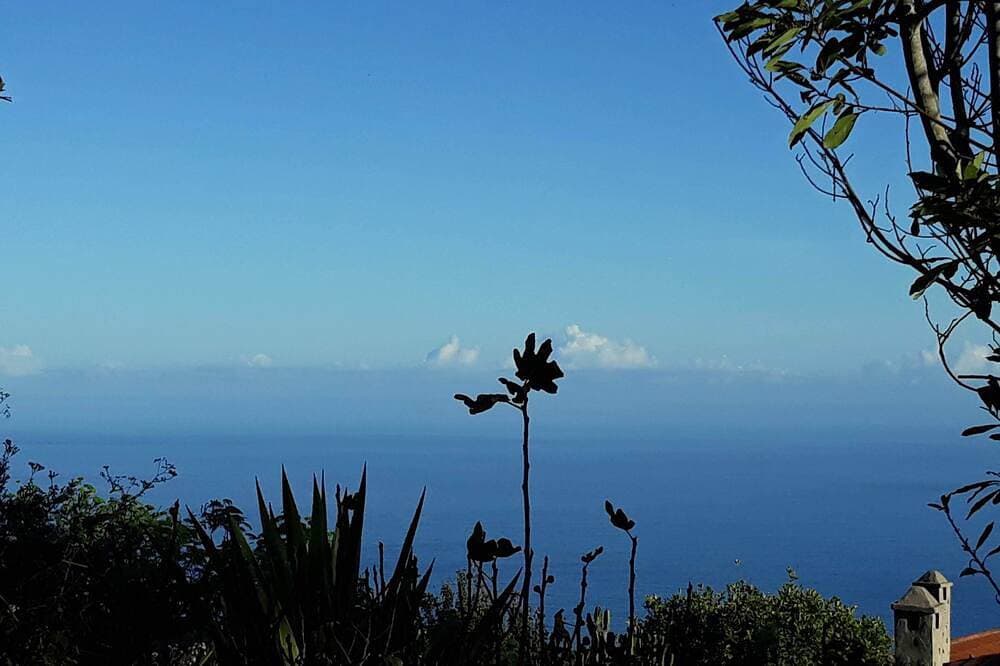 Foto 13 von 21: Finca El Lance die grüne Oase im Norden von Teneriffa