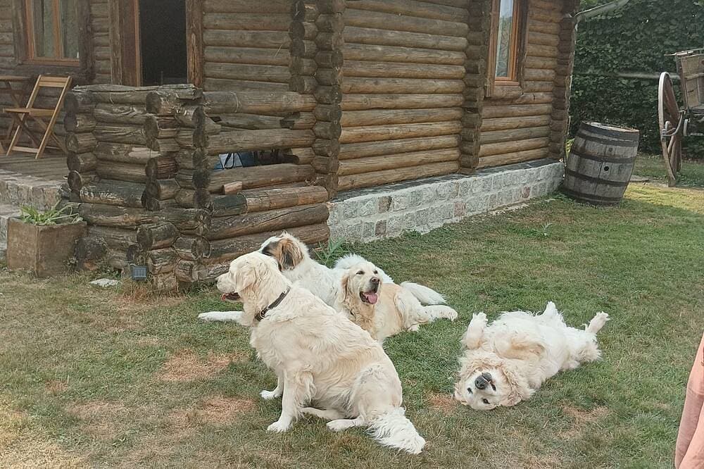 Foto 11 von 20: Ideales Chalet für Wanderfreunde