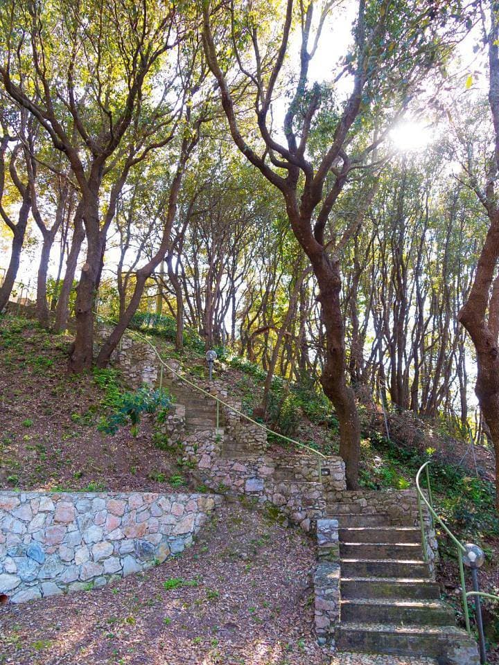 Foto 10 von 56: Three-Bedroom House - Split Level