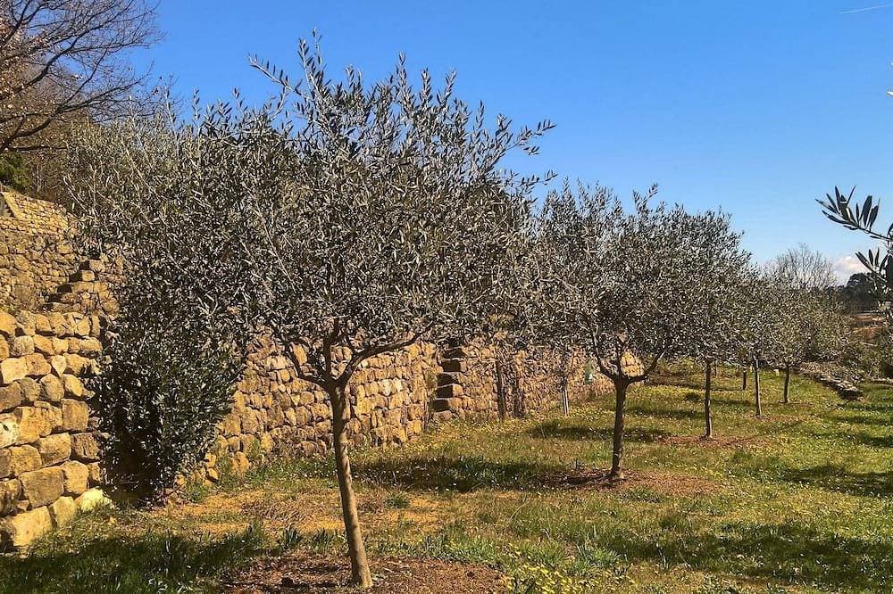 Foto 9 von 14: Ferienunterkunft im Süden von Ardèche