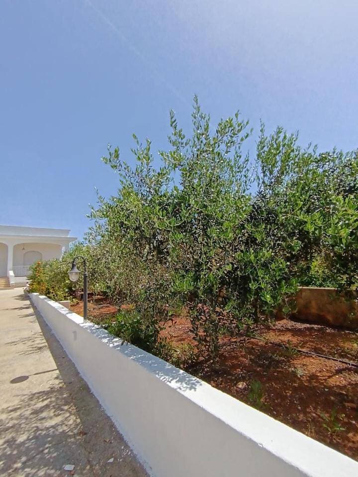 Foto 9 von 42: Holiday Home