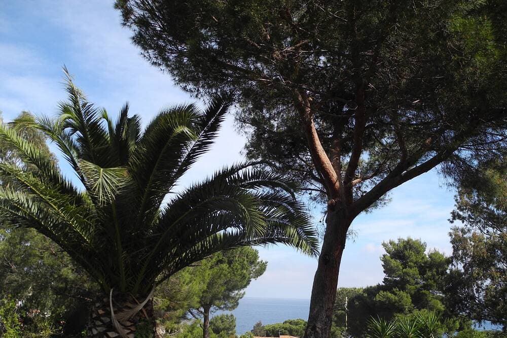 Foto 8 von 25: Grosszügiges Ferienhaus mit Meerblick und Garten in Strandnähe auf Insel Elba