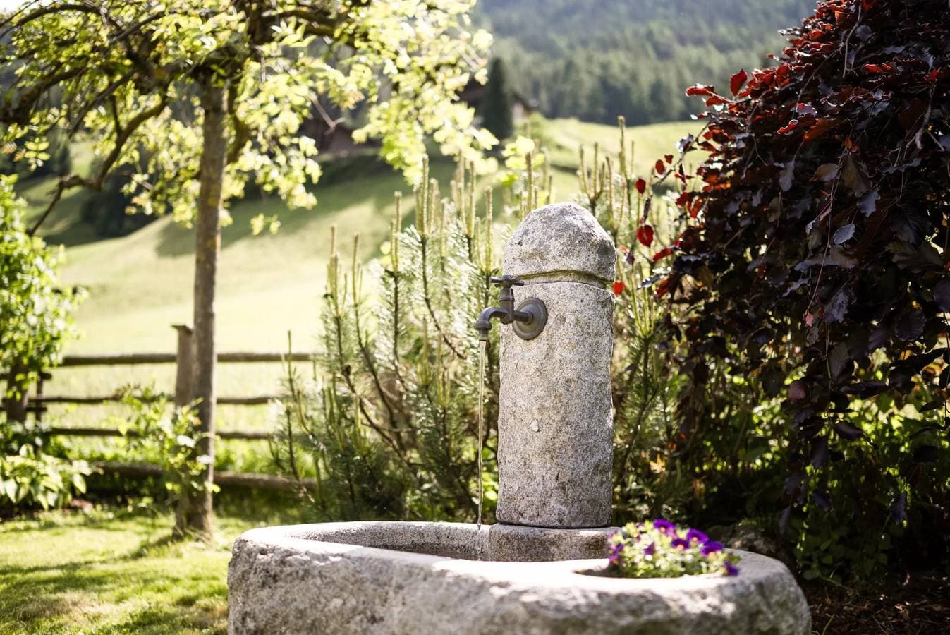 Foto 10 von 12: Angererhof - Ferienwohnung 'Leni' mit Bergblick, privatem Garten und WLAN