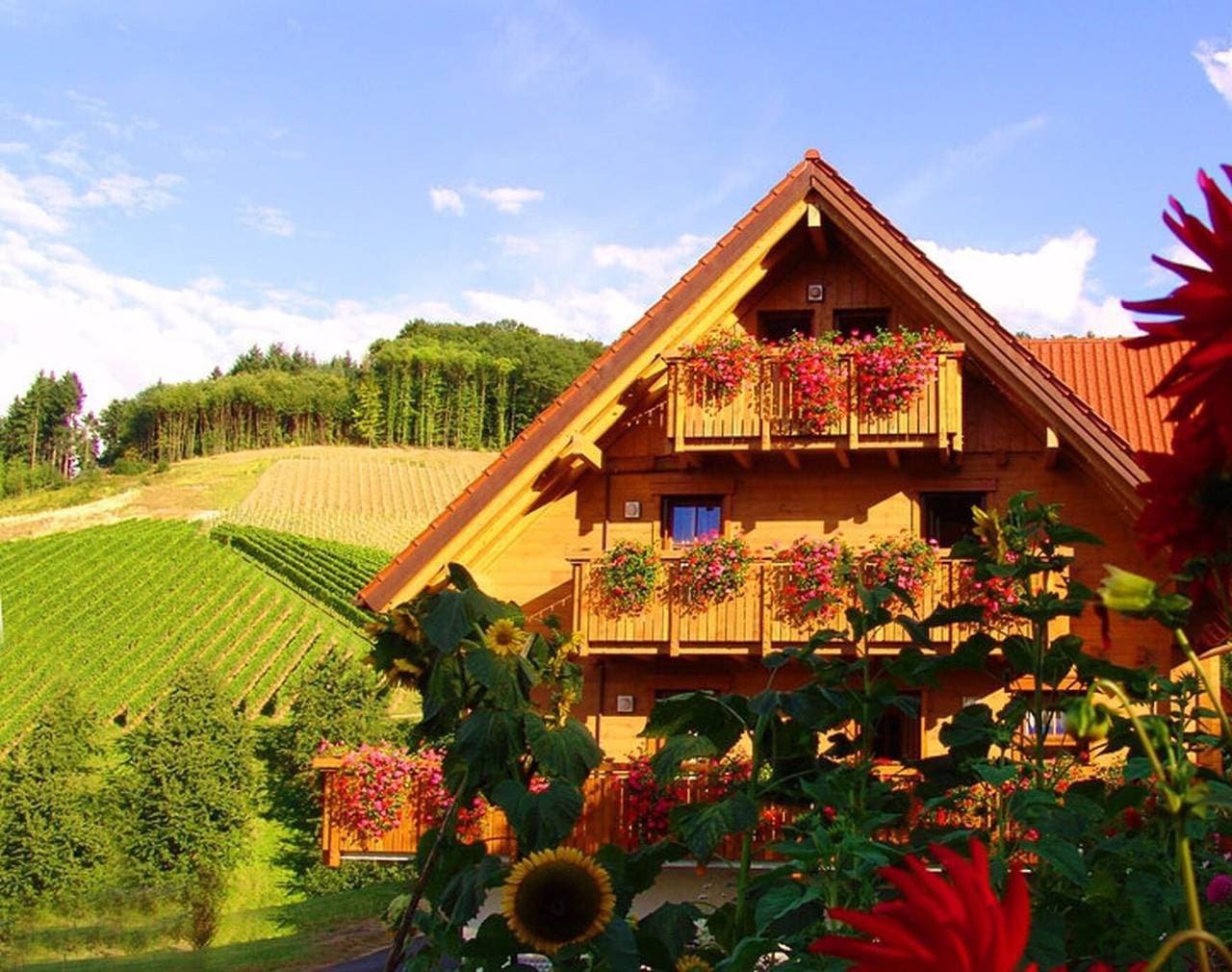 Foto 8 von 33: Ferienwohnung 'Rebberg' mit Balkon und Wi-Fi