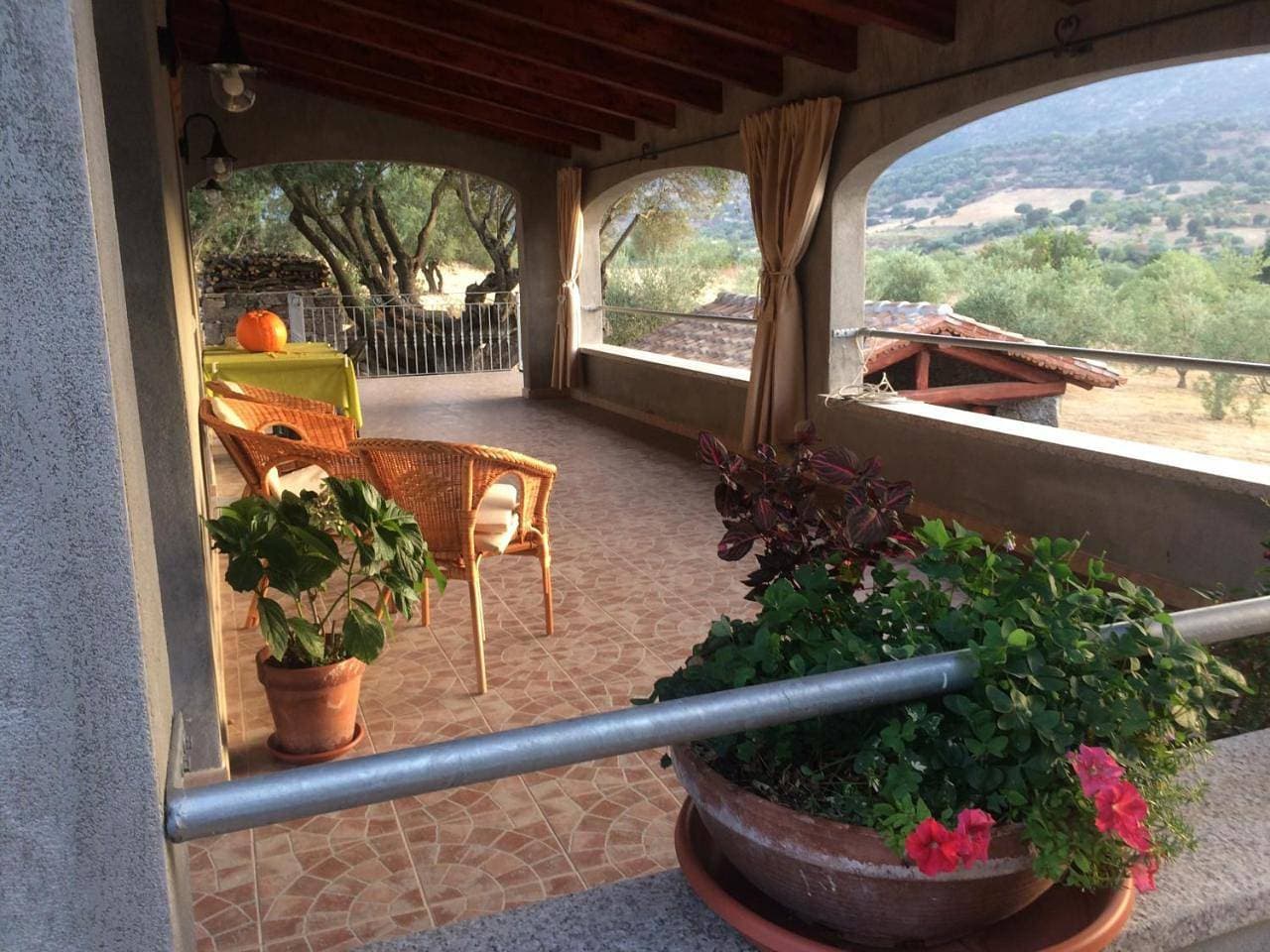 Foto 11 von 35: Holiday Home