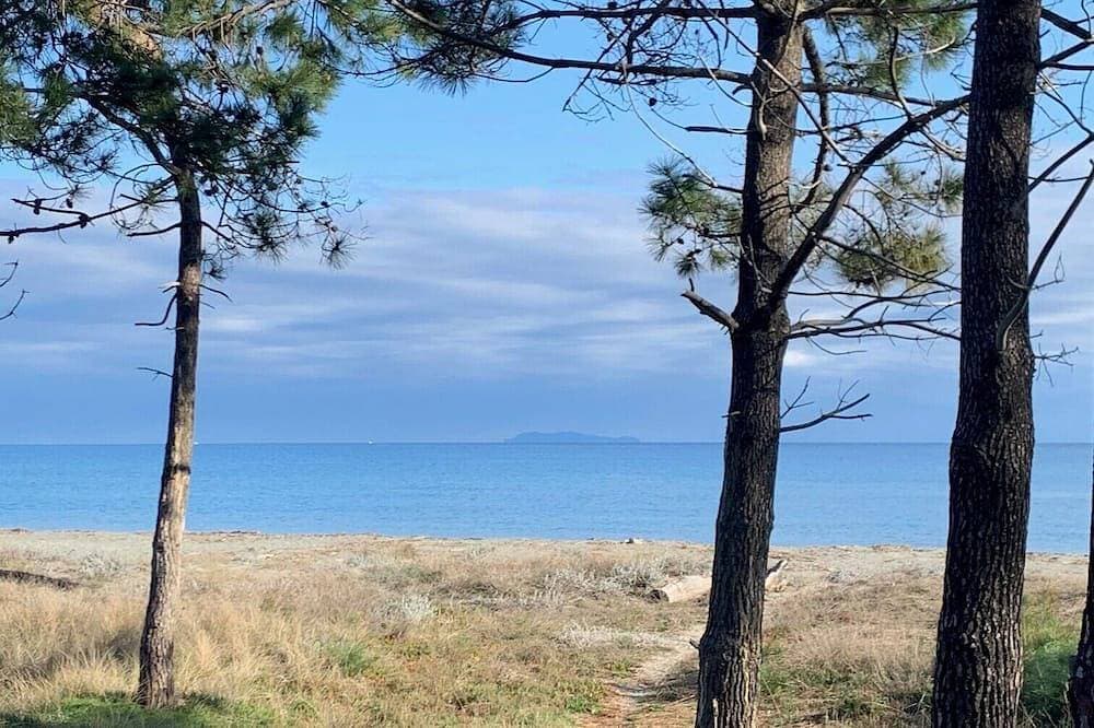 Rental - all year round Plage de la Marana Borgo 1