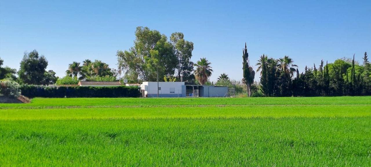 La Caseta Dels Avis 1